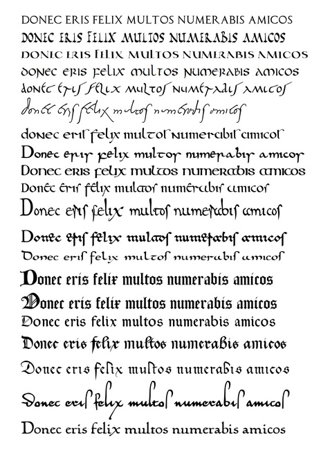 Samples in different Latin hands